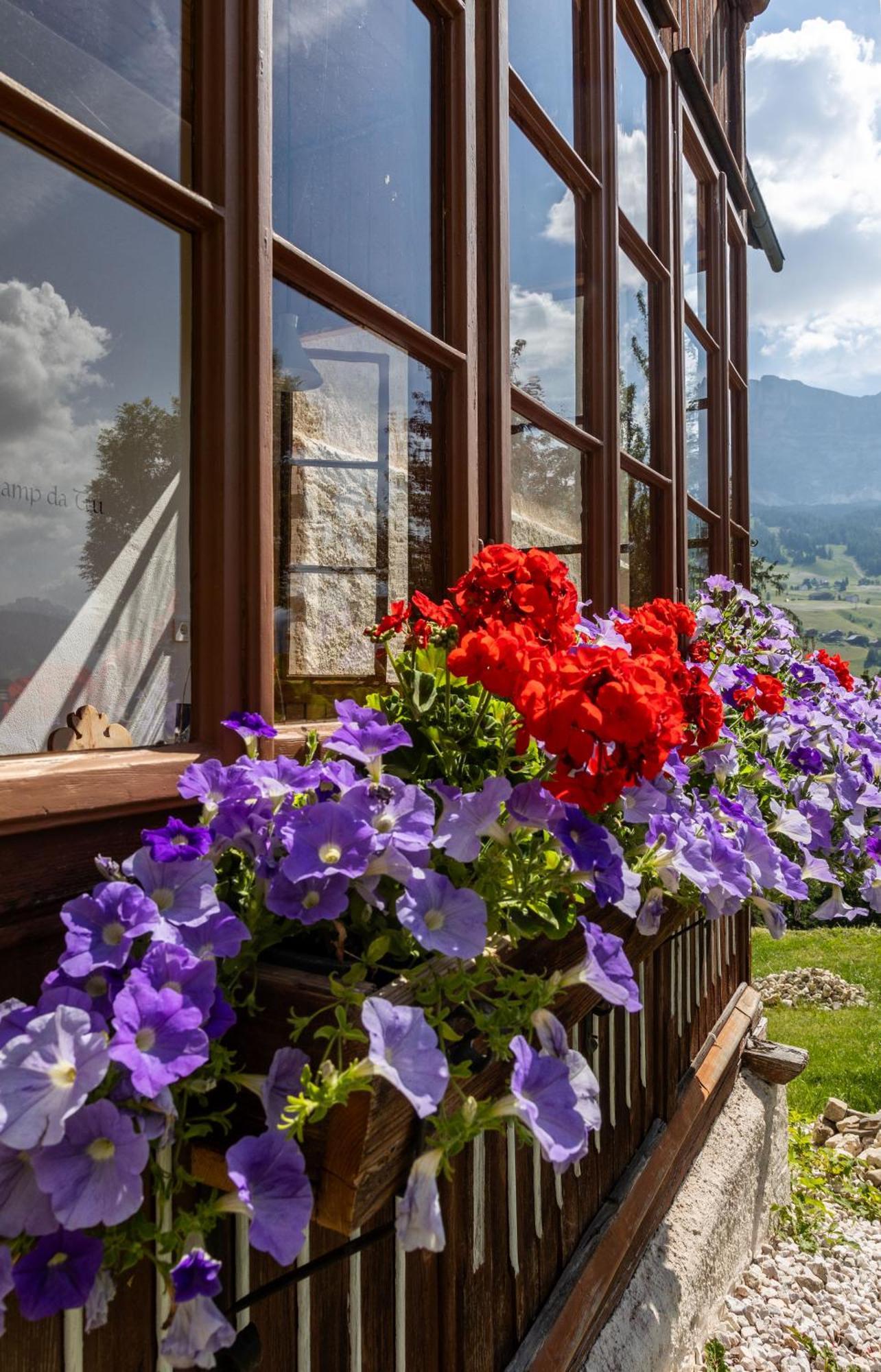 Agriturismo Maso Runch Badia  Zewnętrze zdjęcie