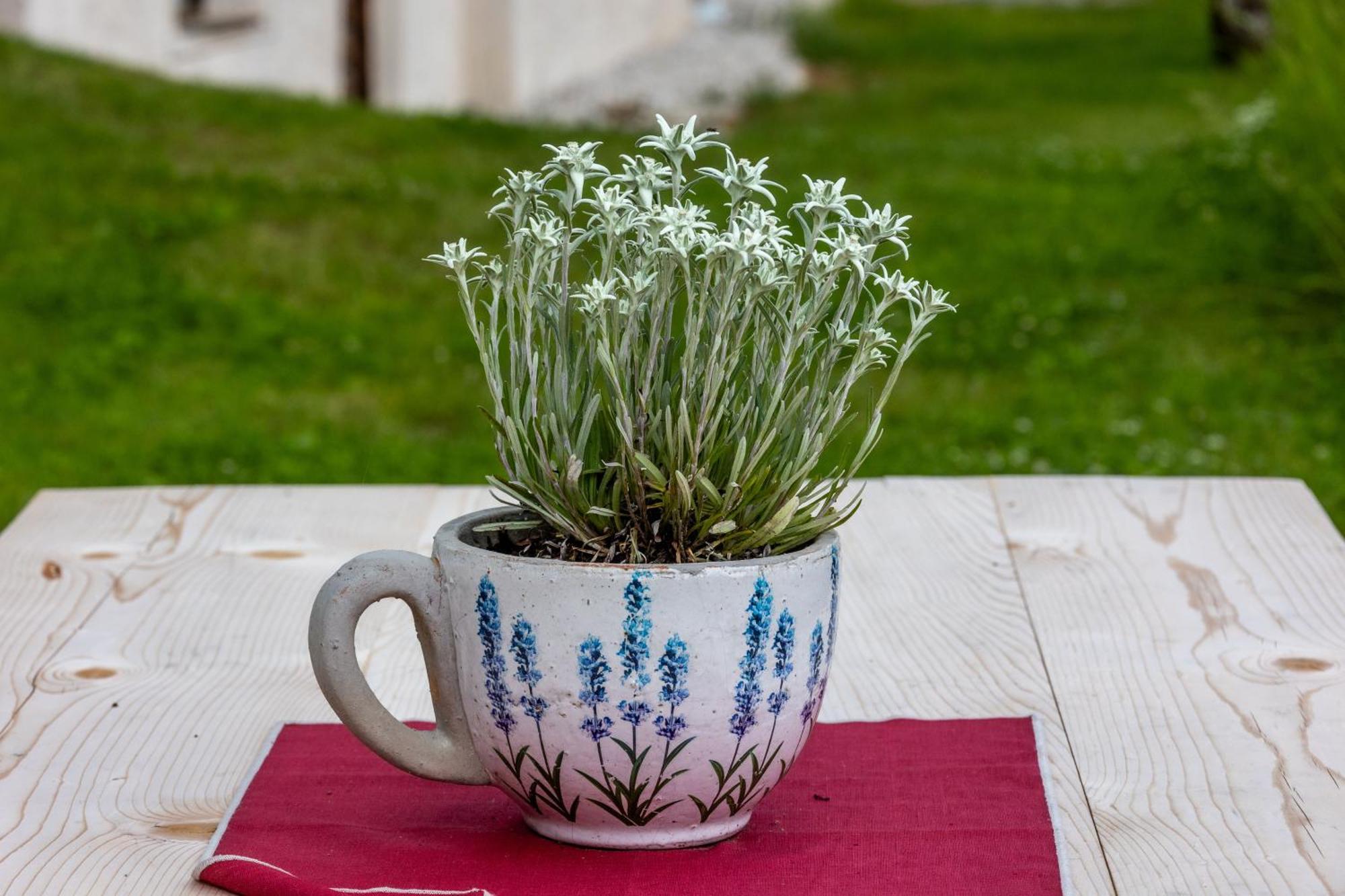 Agriturismo Maso Runch Badia  Zewnętrze zdjęcie